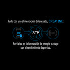 Creatina Monohidratada Pura de Elemental